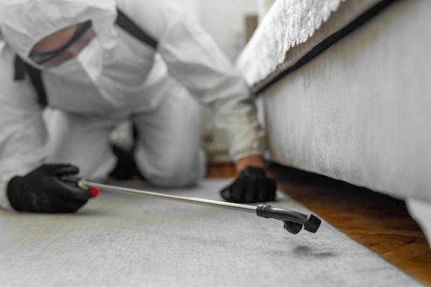 Professional Termite Control technician working in Valley Falls, RI